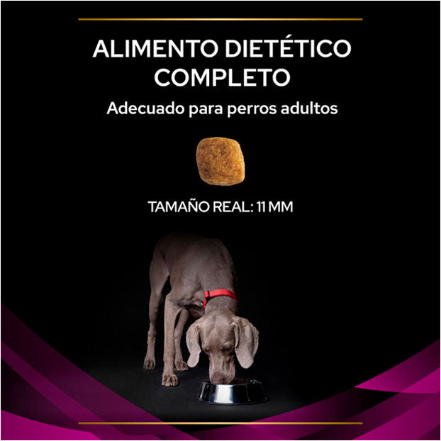 Pro Plan Veterinary Diets UR Tracto URINARIO St/Ox Perro 2K
