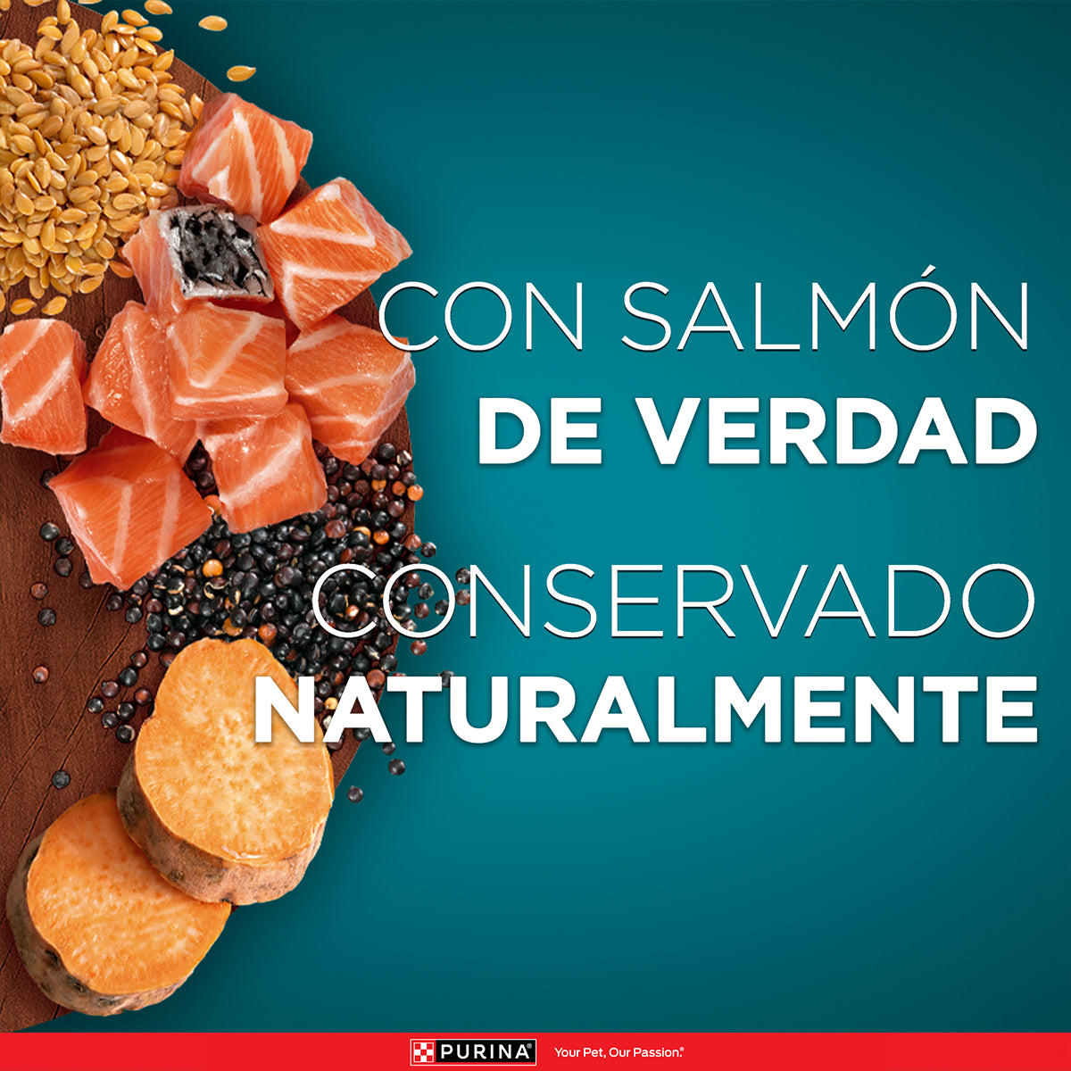 Purina One Pouch Superfoods Gatos Adultos y Esterilizados con Salmón 85g