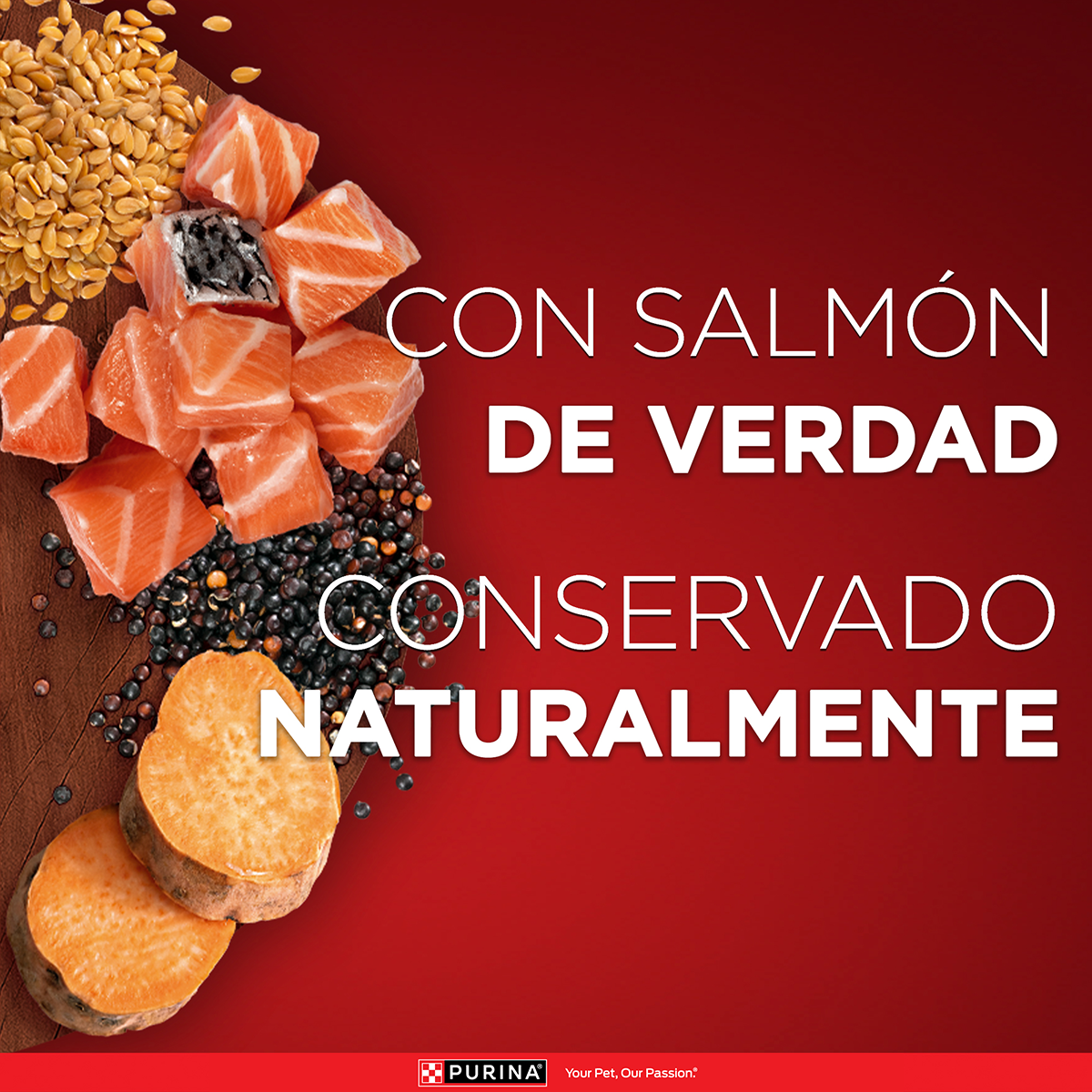 Purina One Pouch Superfoods Perros Adultos y Cachorros con Salmón 85g