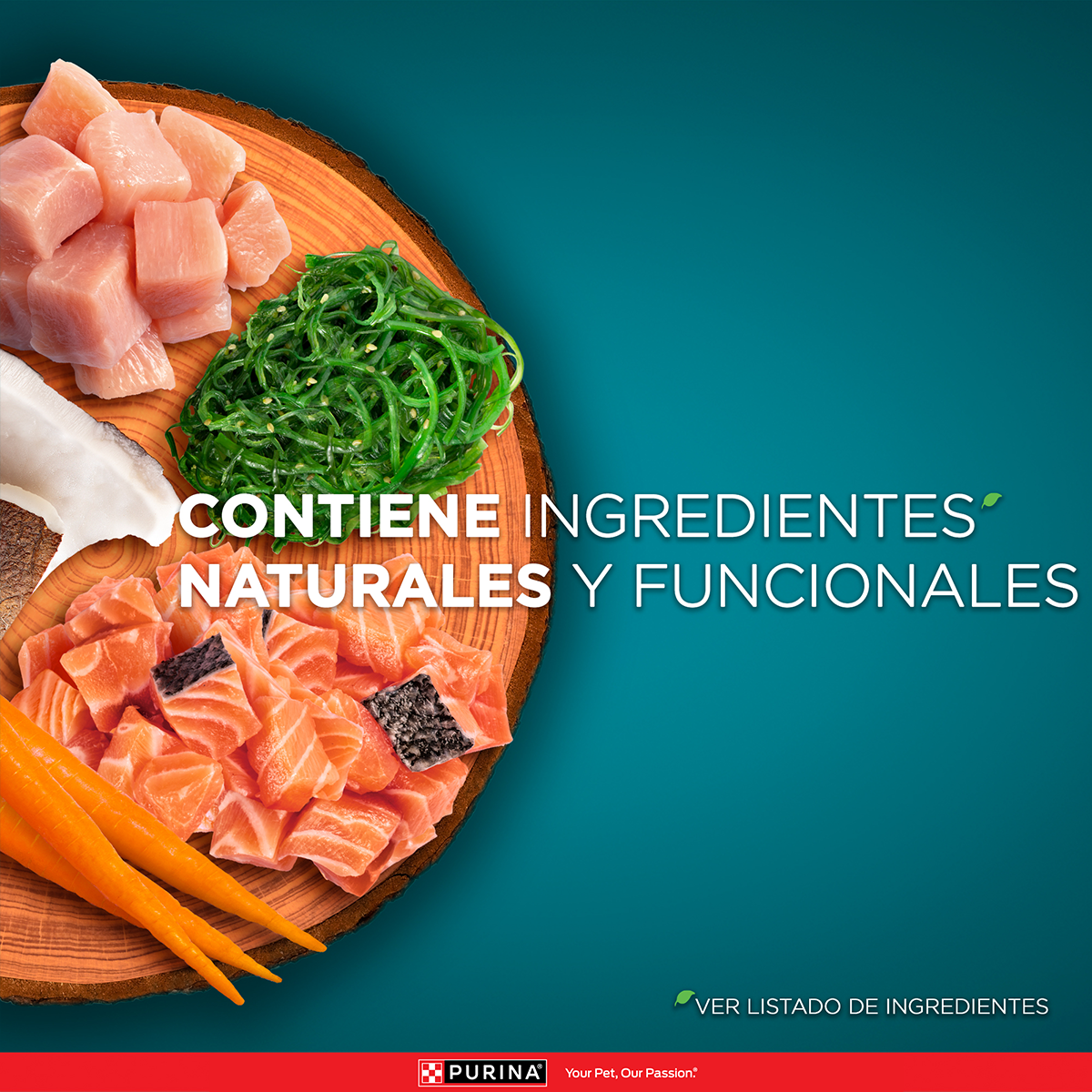 Purina One Gato Adulto Pollo y Salmon 2K