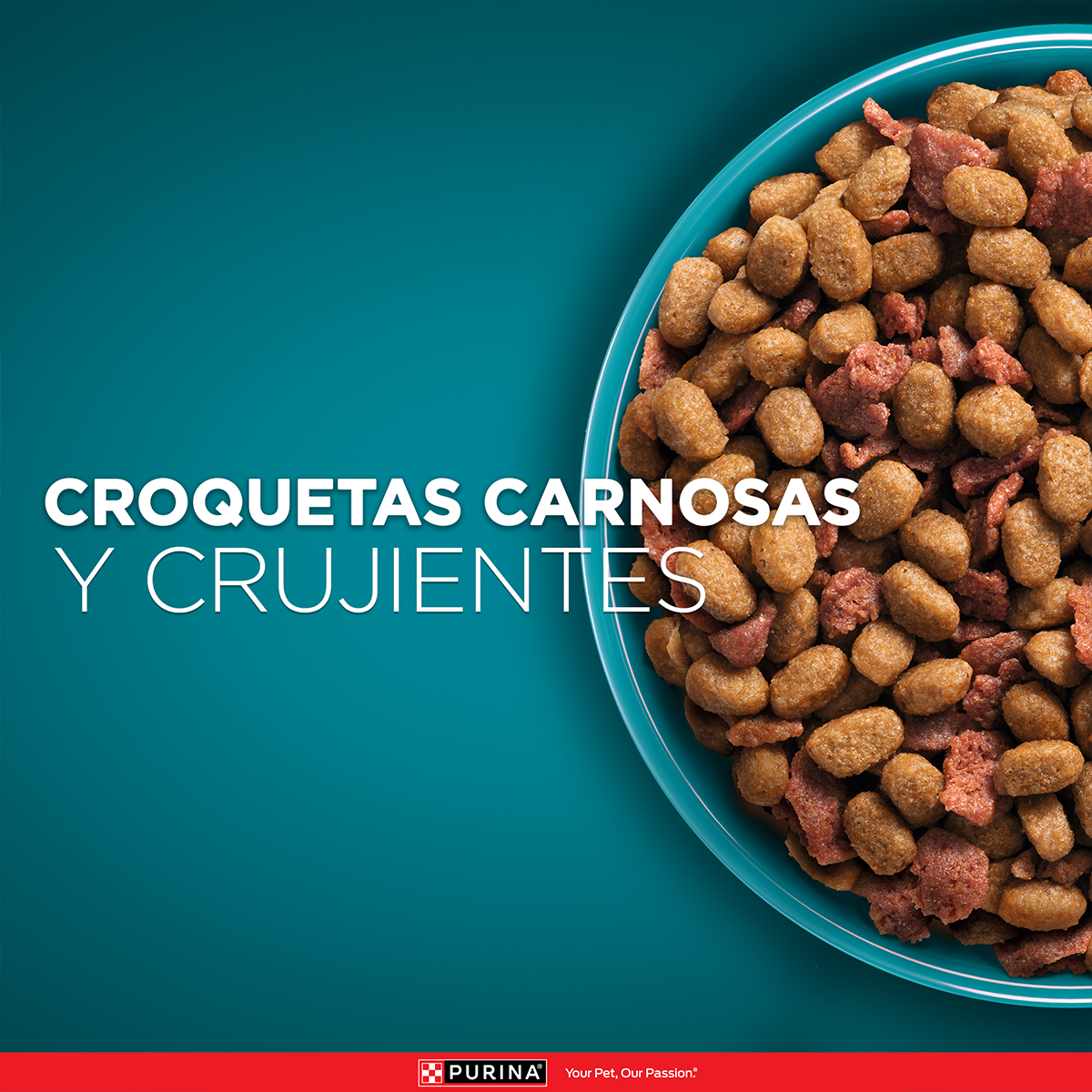 Purina One Gato Adulto Pollo y Salmon 2K