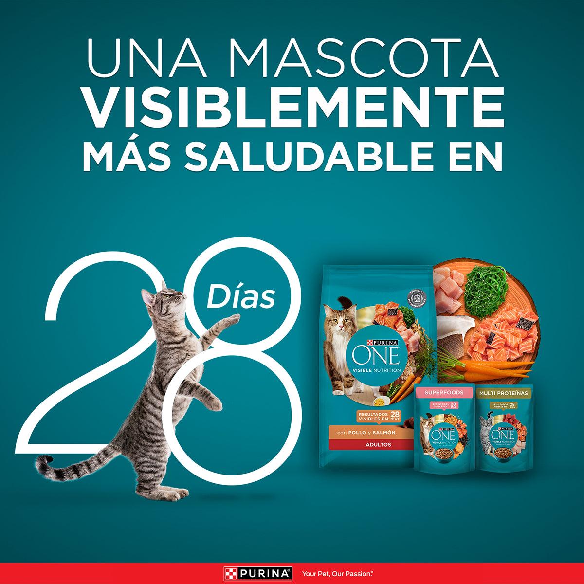 PURINA® ONE® Gato Adulto Pollo y Salmon 2K