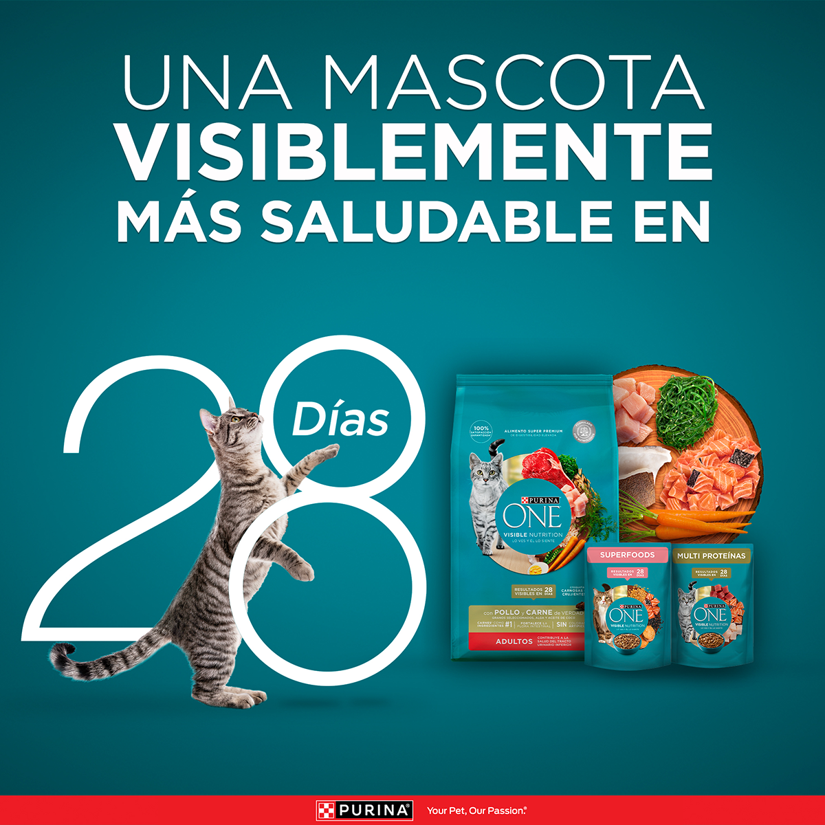 Purina One Gato Adulto Pollo y Carne 2K