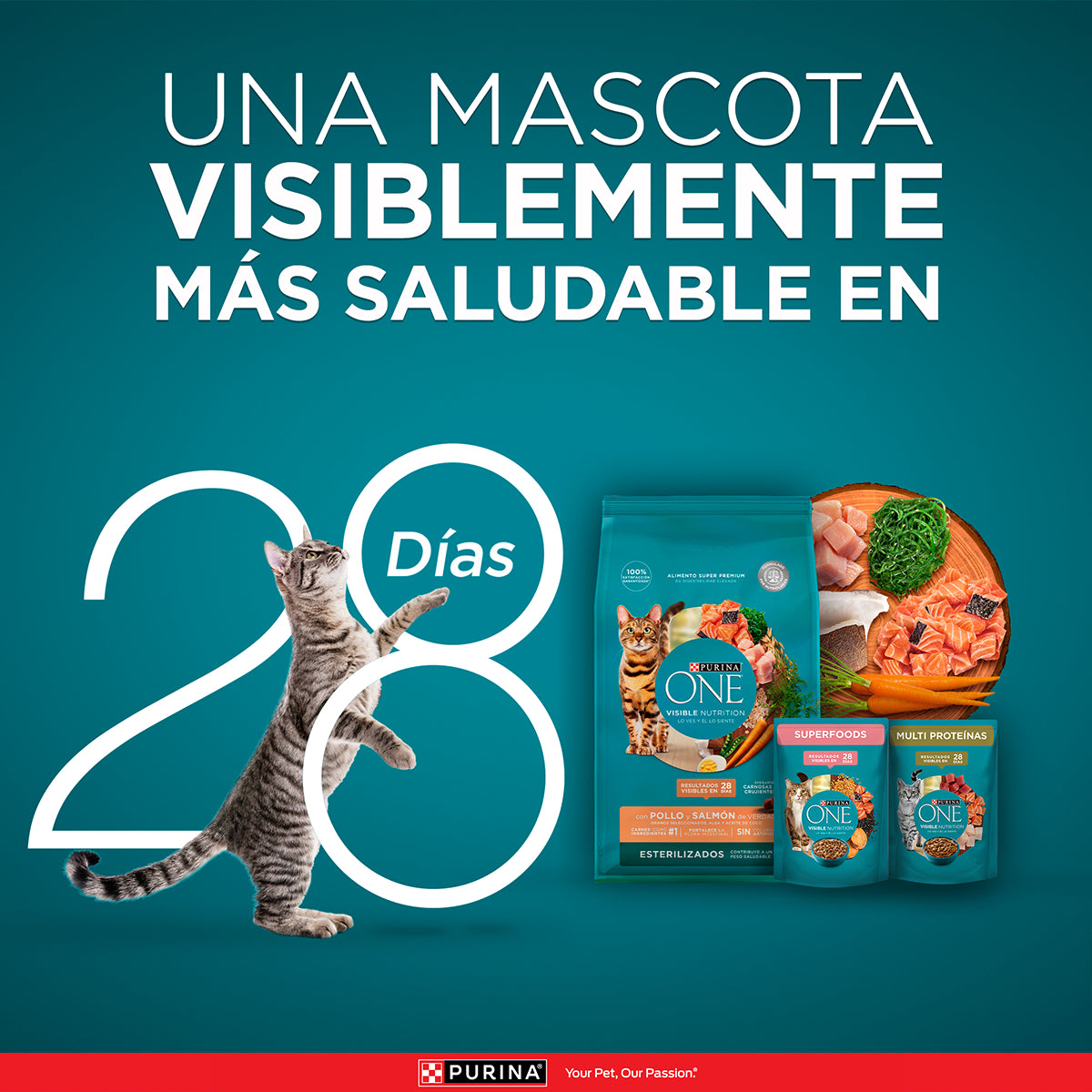 PURINA® ONE® Gato Esterilizado Pollo y Salmón 2K