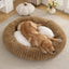 Cama Nido Circular Variedad Colores