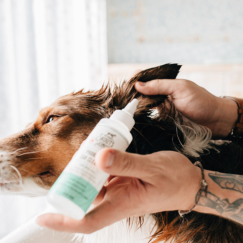 Skout's Honor Limpiador Probiótico de Oidos Perro y Gato 118ml