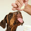 Helado Yow Up Chicken & Apple Perro 110gr