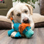 Kong Dog Cozie Ultra Lucky León M