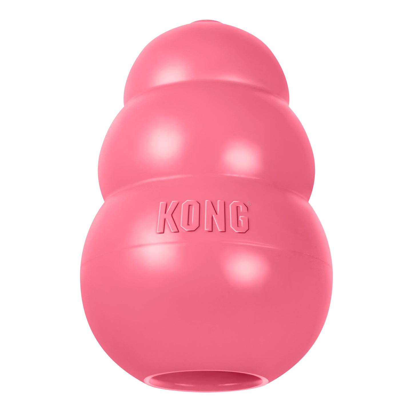 Kong Dog Puppy M
