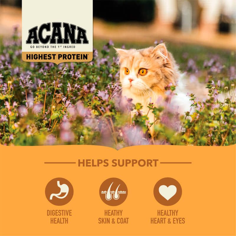 Acana Meadowland Gatos