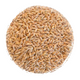 Alimento Alpiste a Granel 700g