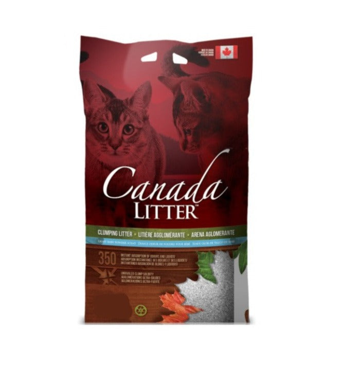 Canada Litter Arena Sanitaria Talco Bebé