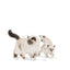 Royal Canin Lata Gato Mother & Babycat 145g