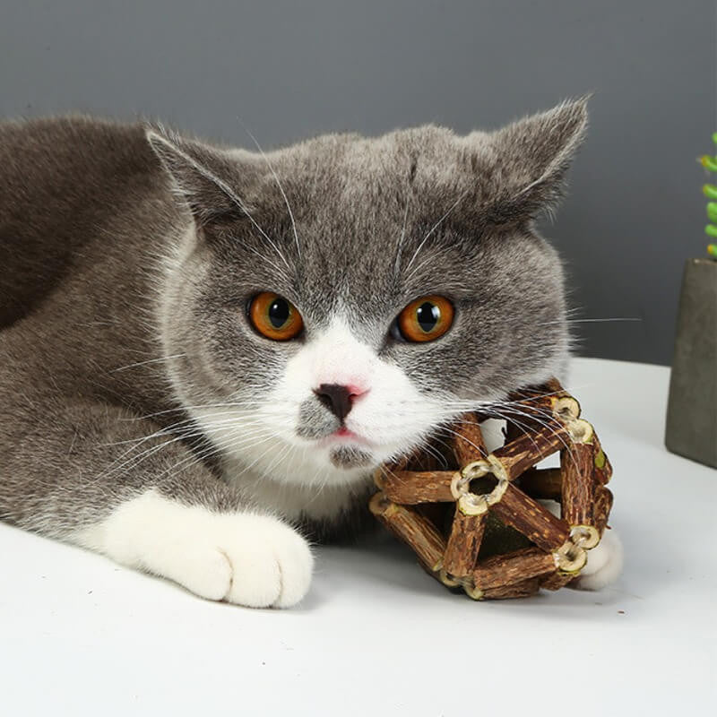 Wonder Cat Bola de Catnip en Jaula de Dental Stick 7cm