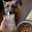 Winga Caldo de Huesos Perros 250ml