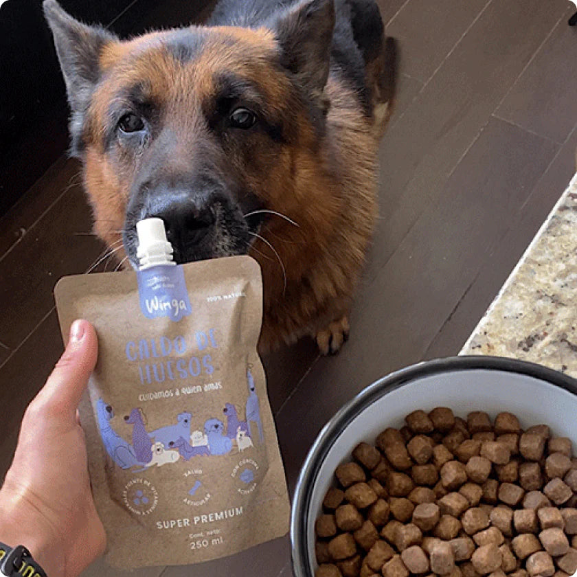 Winga Caldo de Huesos Perros 250ml