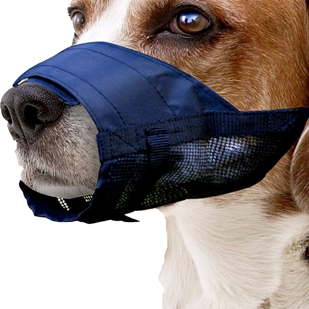 Pawise Bozal de Nylon Muzzle Perros