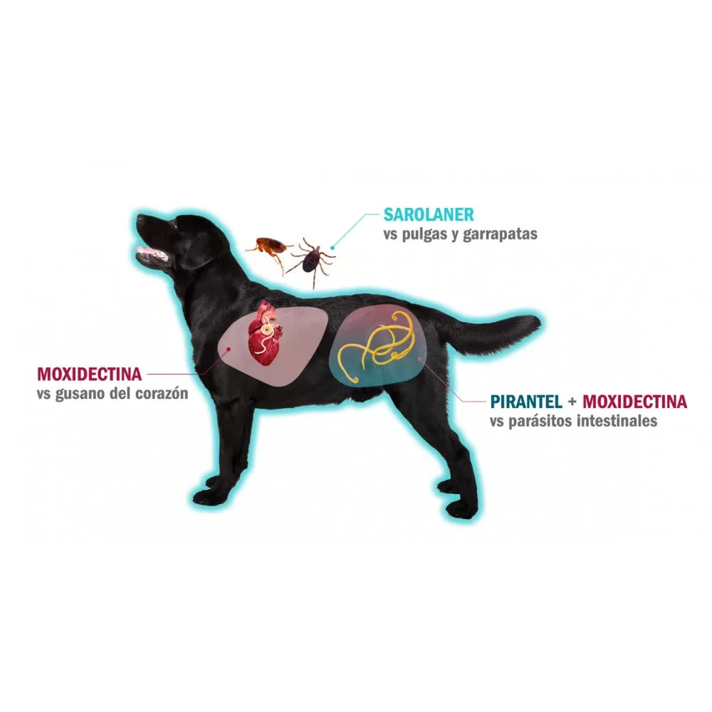 Simparica Trio Zoetis Antiparasitario Externo e Interno Perros 5K - 10K