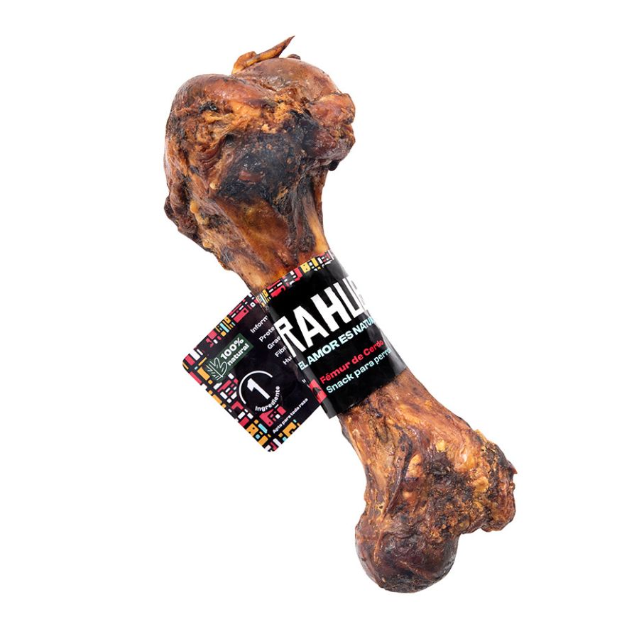 Rahue Femur de Cerdo Perros