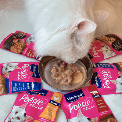 Vitakraft Cat Poesie Delice Multipack Carnes 510g