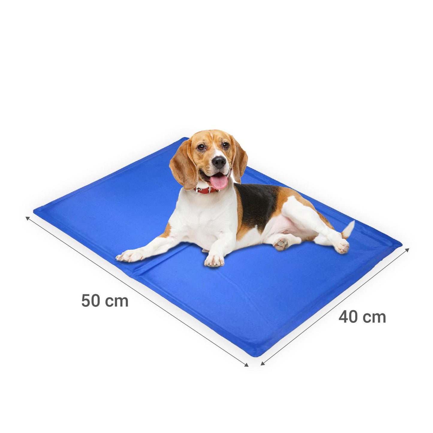 Manta Refrescante con Diseño S 40x50CM Perros y Gatos