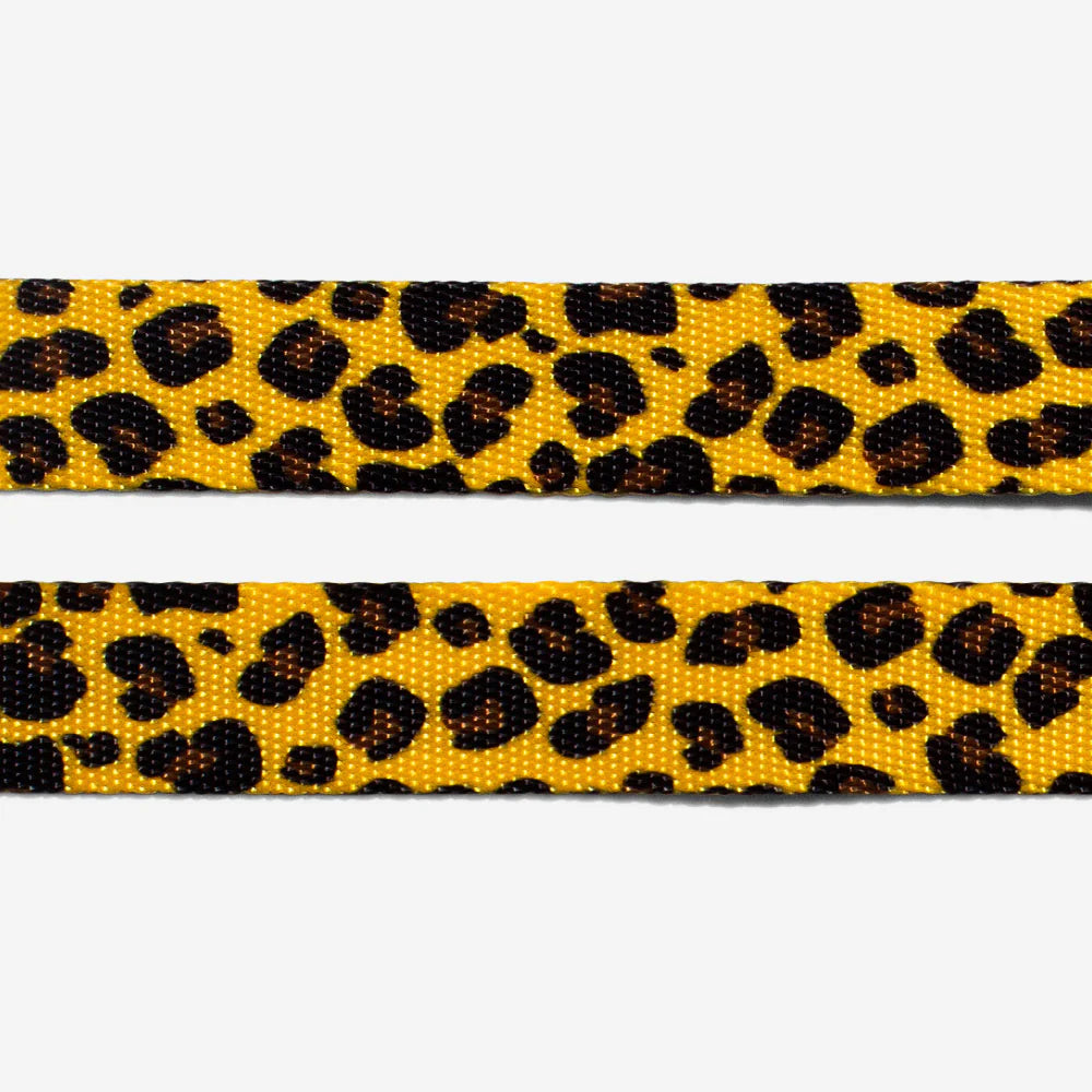 Zee Cat Honey Collar