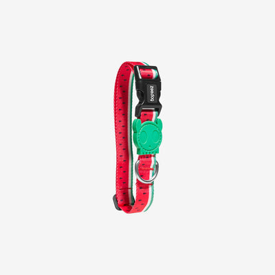 Zee Dog Collar Lola