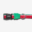 Zee Dog Collar Lola