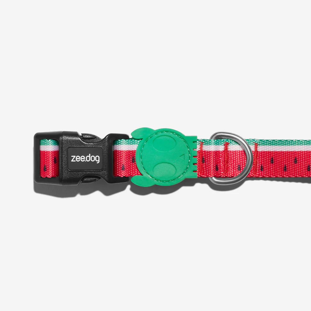 Zee Dog Collar Lola
