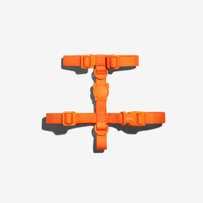 Zee Dog Neopro Tangerine H Harness S