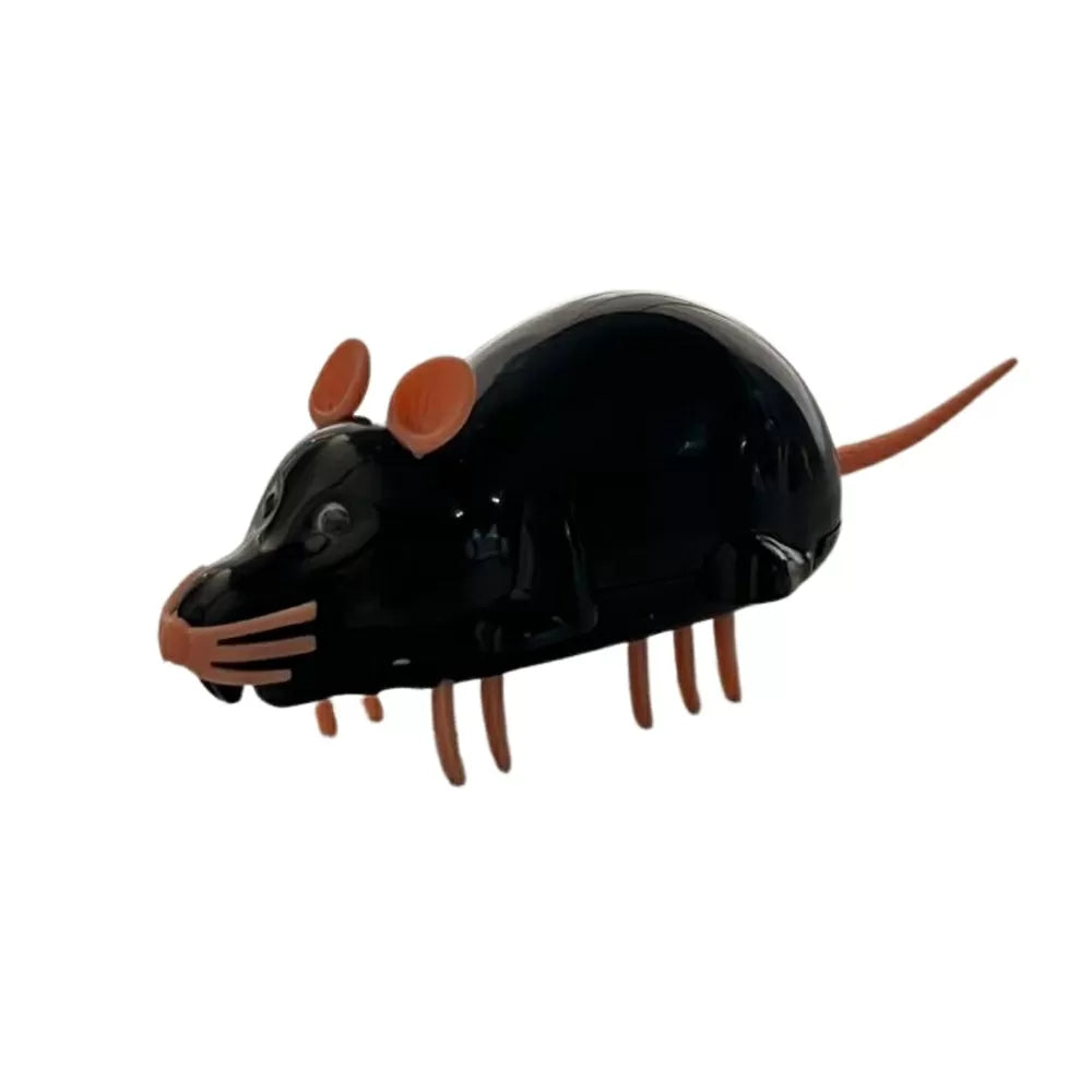 Raton Robot