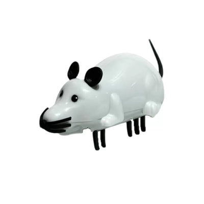 Raton Robot