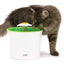 Catit Fuente Bebedera Gatos Flor 3L