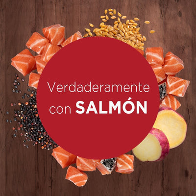 PURINA® ONE® Pouch Perro Adultos Y Cachorro Con Salmon