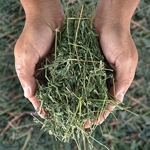 Heno de Alfalfa 800gr