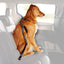 Cinturón Seguridad Viaje Perros y Gatos