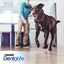 PURINA® Dentalife Razas Grandes