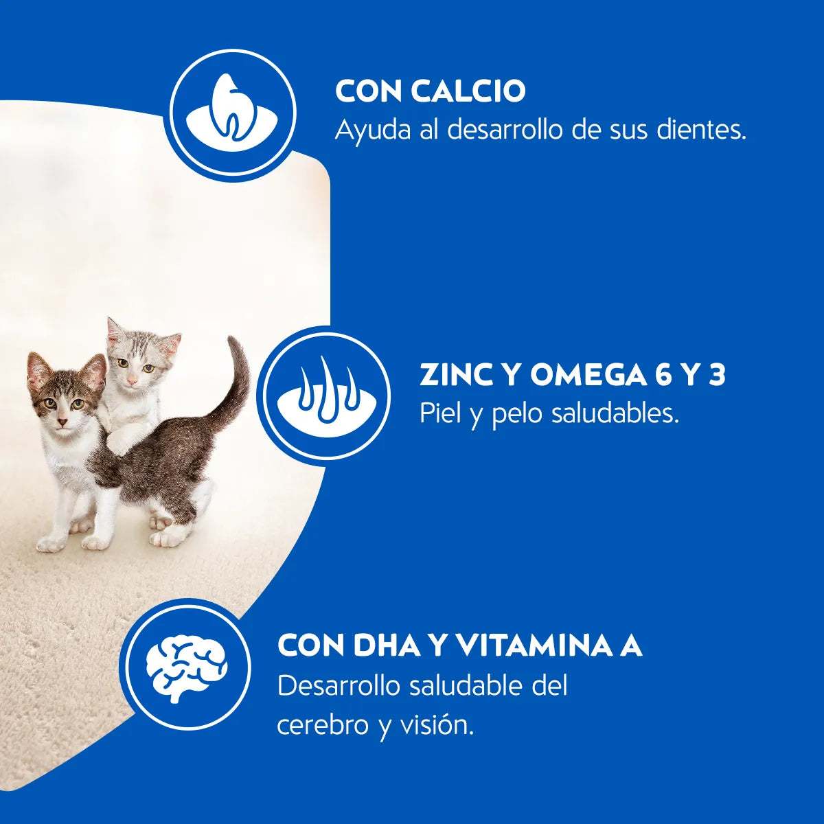 Cat Chow Gatitos 1Kg