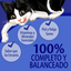 FELIX® Classic Gatos Carne