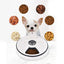 Dispensador Alimentos Perros y Gatos