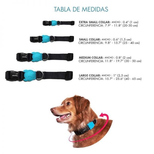 Zee Dog Collar Prisma
