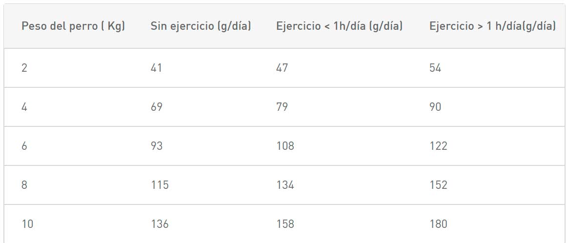 Royal Canin Perro X-Small