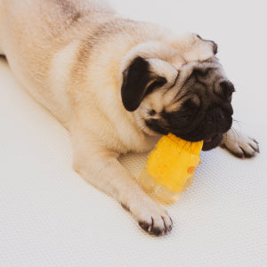 Zee Dog Brain Freeze Banana