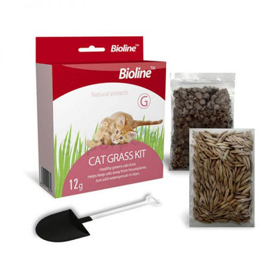 Bioline Cat Grass Kit Gatos