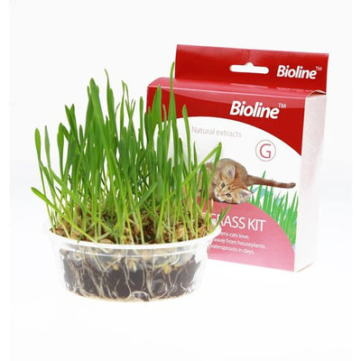 Bioline Cat Grass Kit Gatos