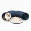 Catit Vesper Túnel Mat Azul Gatos