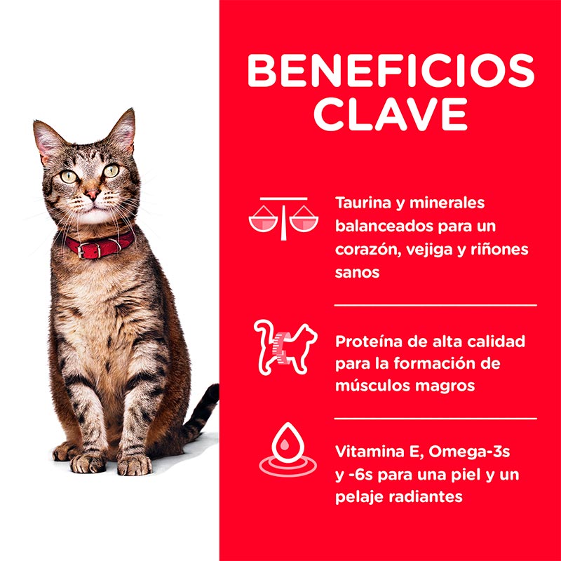 Hill's Science Diet Gato Adulto 3.17K