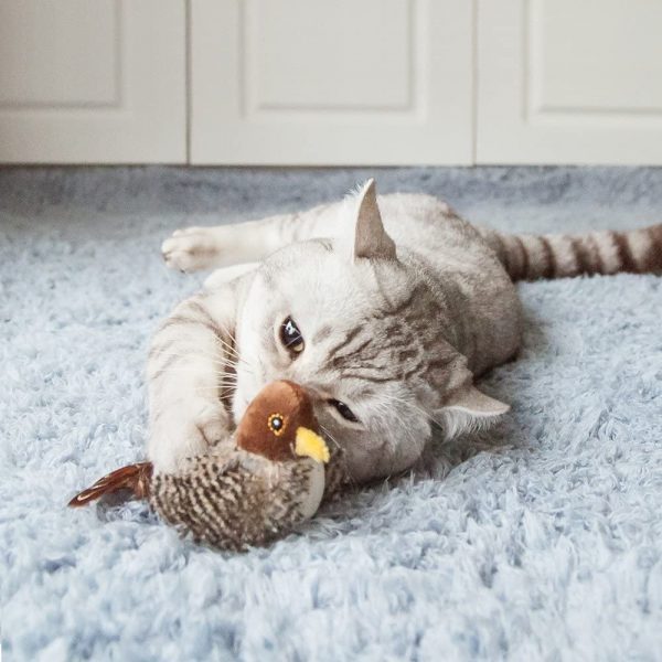 Gigwi Melody Chaser Pájaro Gato