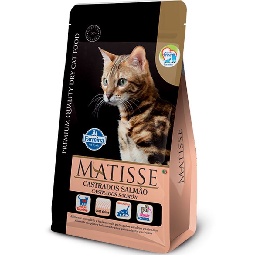 Matisse Gato Castrado Salmon 2K