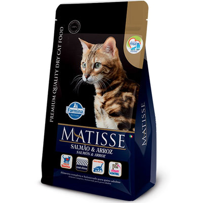 Matisse Gato Salmon